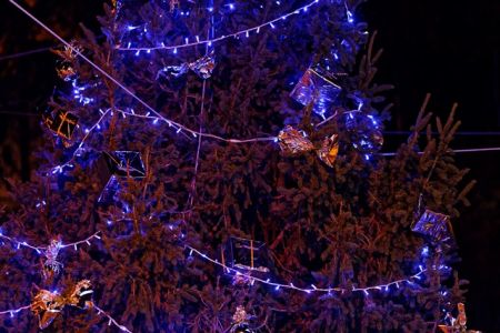20161207 - Accensione Dell\'albero Di Natale A Neviano 20